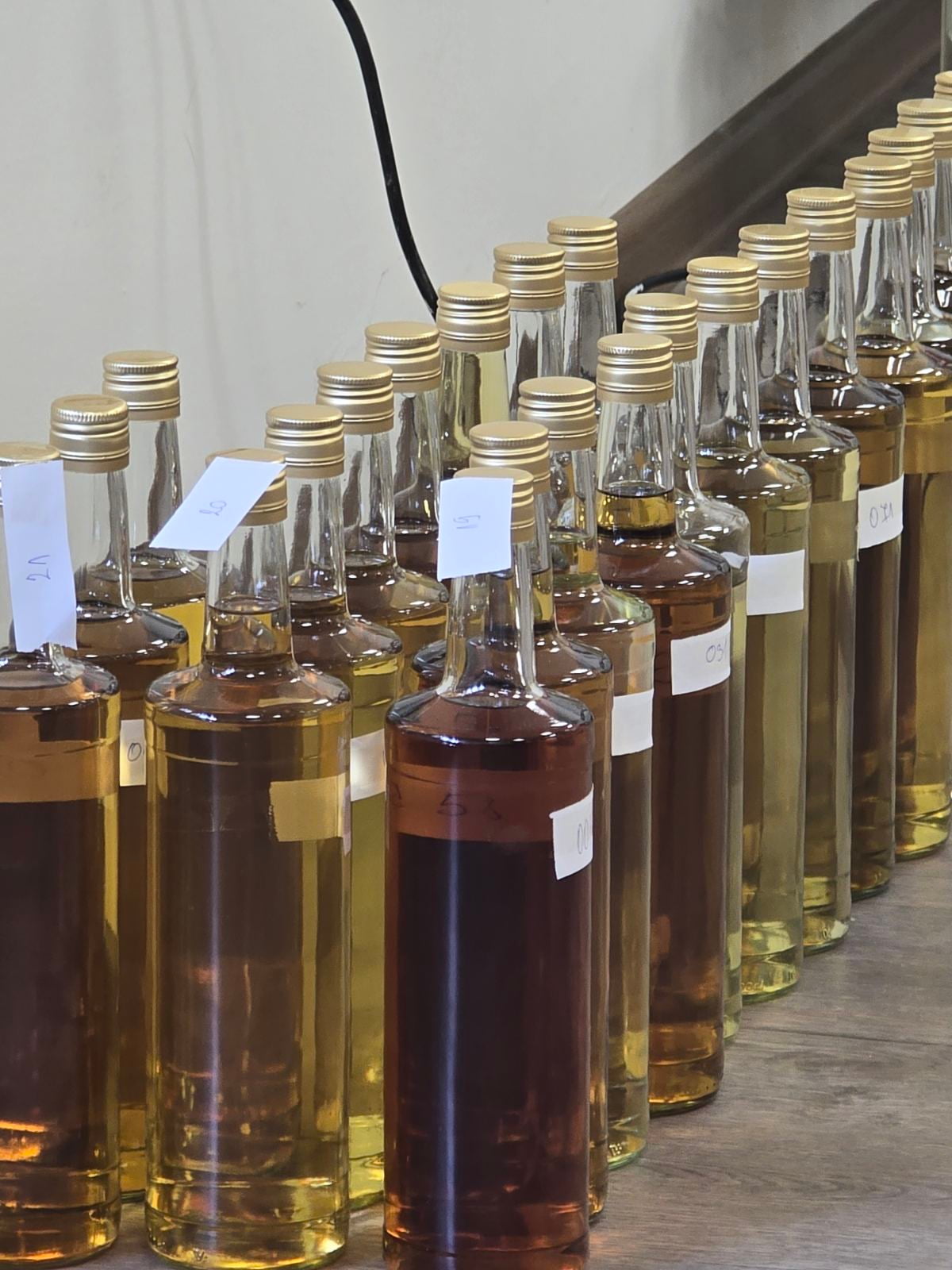 rakijada 2025 sljivovica rakija