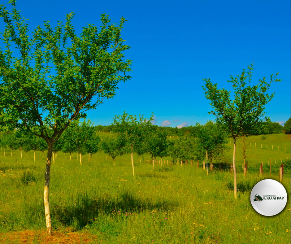 javni poziv podsticaji sredstva