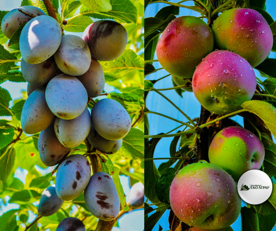 javni poziv podsticaji sredstva