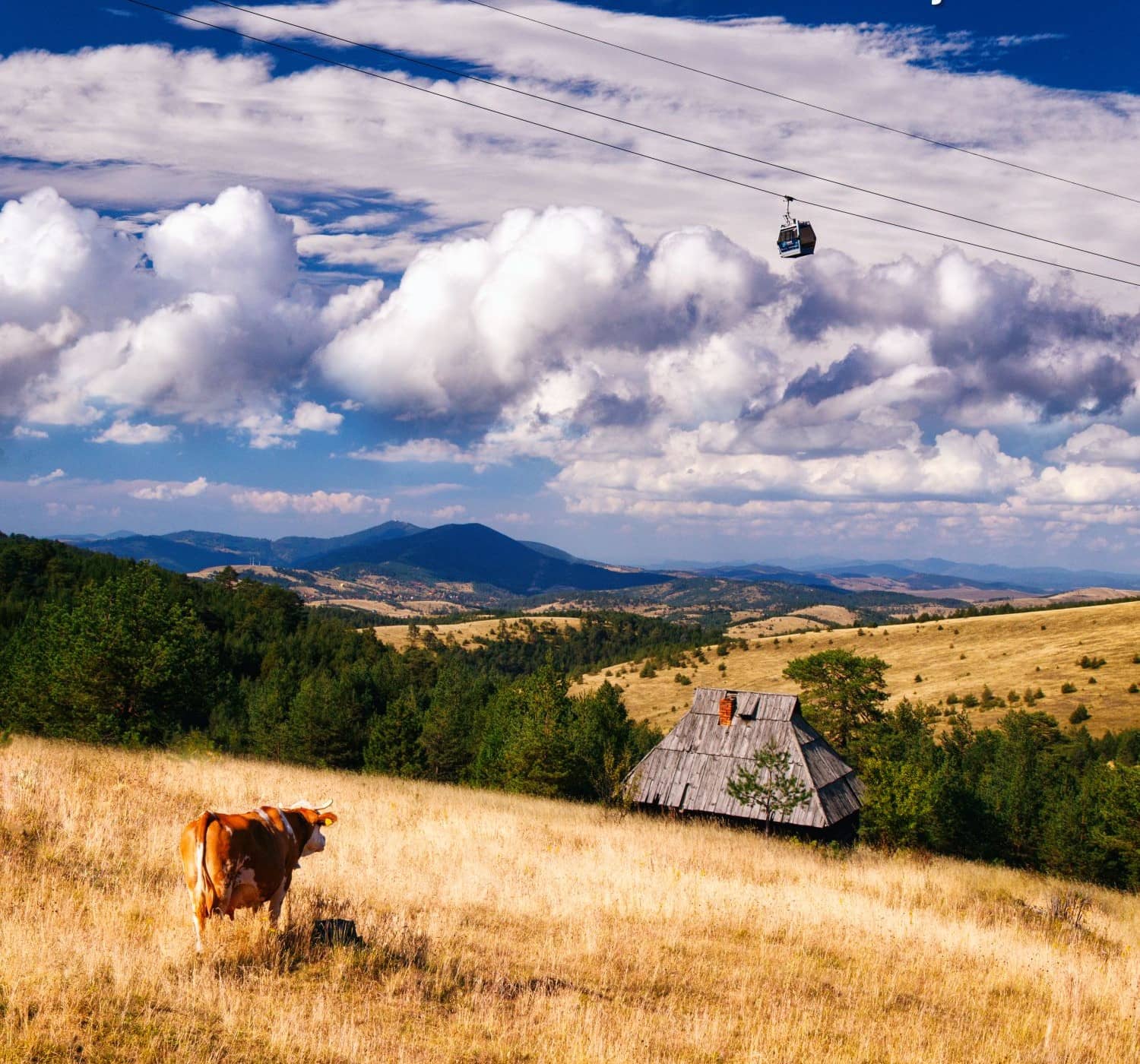 sajam zlatibor poljoprivreda