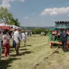 fao polje projekat
