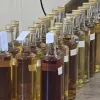 rakijada 2025 sljivovica rakija