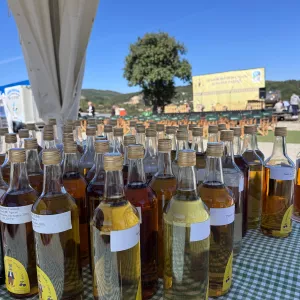 sljivovica rakijada