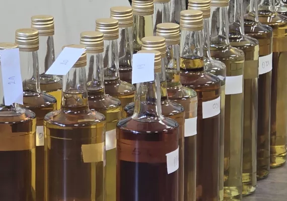 rakijada 2025 sljivovica rakija