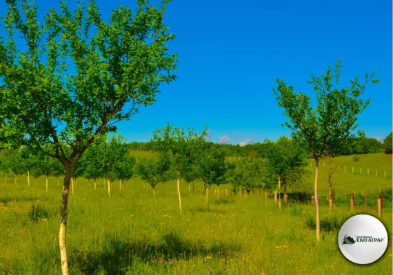 javni poziv podsticaji sredstva