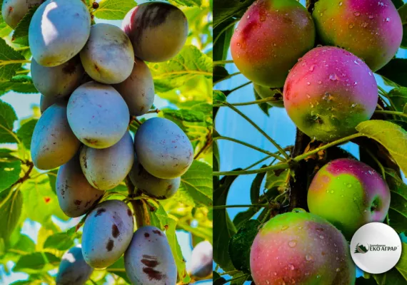 javni poziv podsticaji sredstva