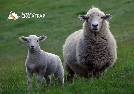 javni poziv podsticaji sredstva